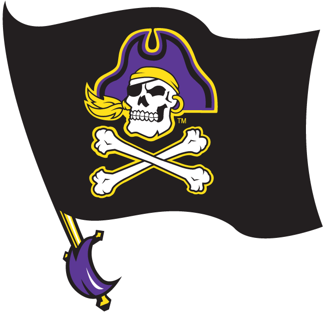 East Carolina Pirates 1999-2013 Alternate Logo v2 DIY iron on transfer (heat transfer)